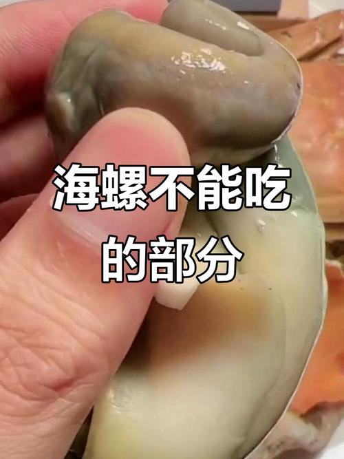 螺肉哪個部位不能吃?安心享用螺肉的完整指南 3 螺肉哪個部位不能吃