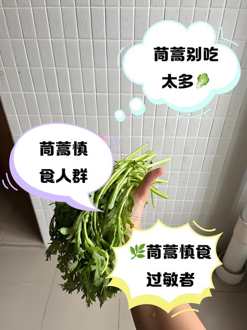 山茼蒿如何清洗?掌握新鮮美味的關鍵步驟,輕鬆處理,讓您在家也能品嚐餐廳級的美味! 1 山茼蒿如何清洗