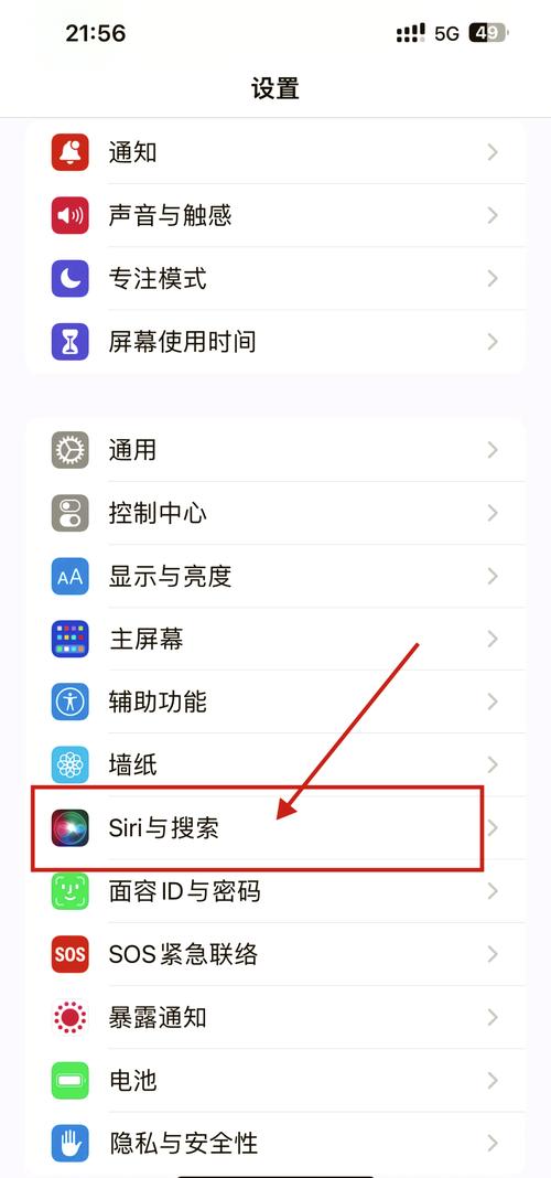 iPhone開啟語音控制