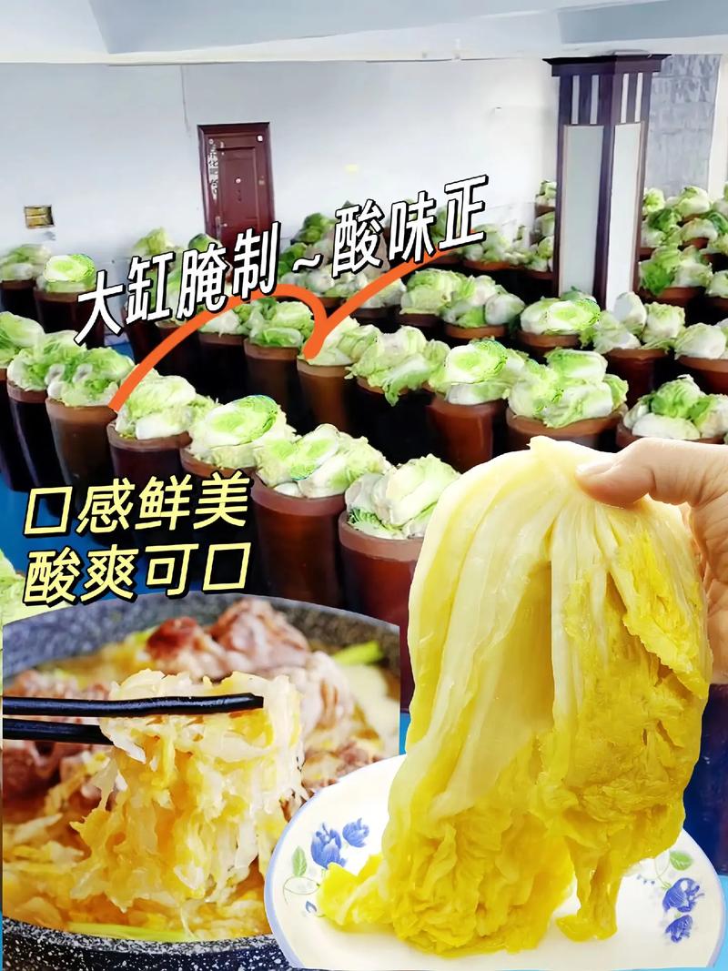 酸菜太酸怎麼處理?讓美味重返餐桌的神奇妙招 3 酸菜太酸怎麼處理