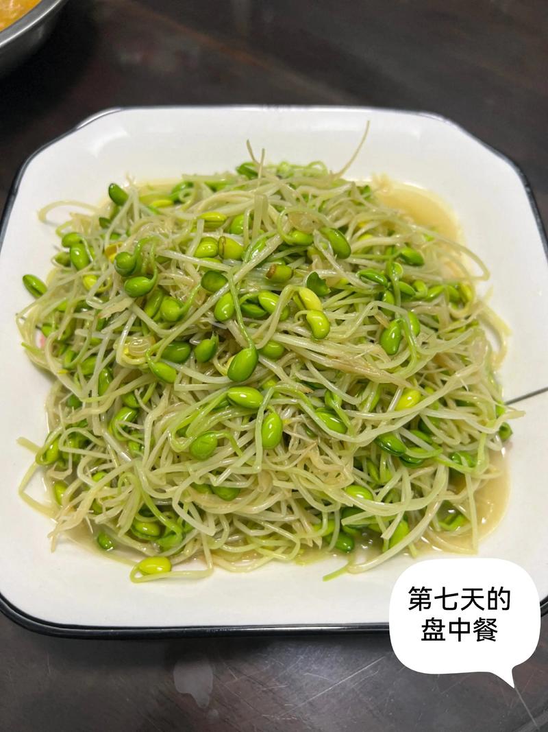 黃豆芽寒涼嗎?豆芽的食性與身體的連結,你真的了解嗎? 3 黃豆芽寒涼嗎