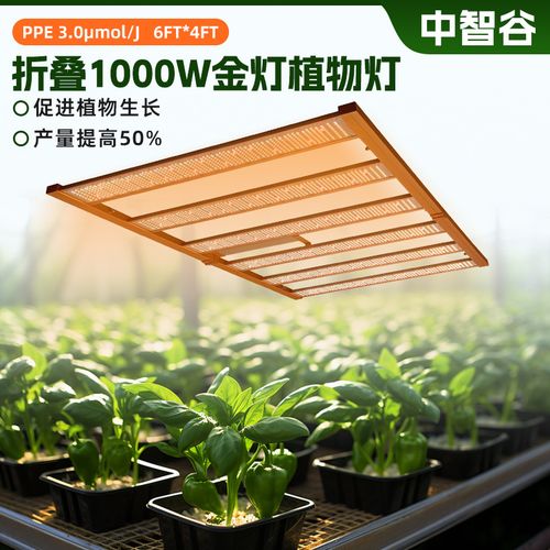 植物燈要去哪買?新手必看選購指南與購買通路全解析 1 植物燈要去哪買