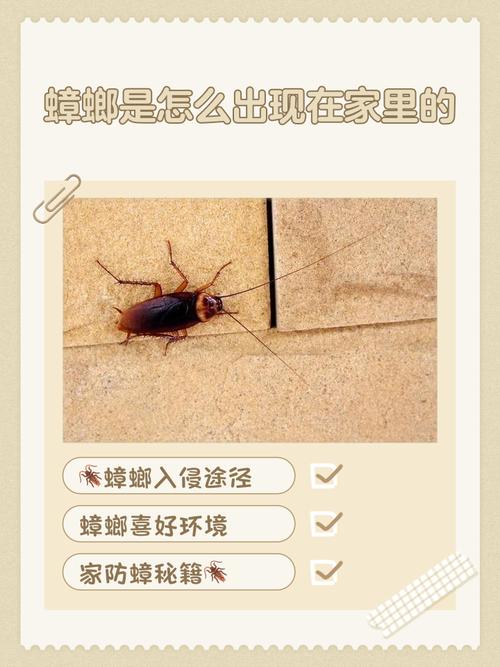 蟑螂為什麼讓人害怕