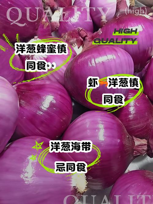 素食可以吃洋蔥嗎