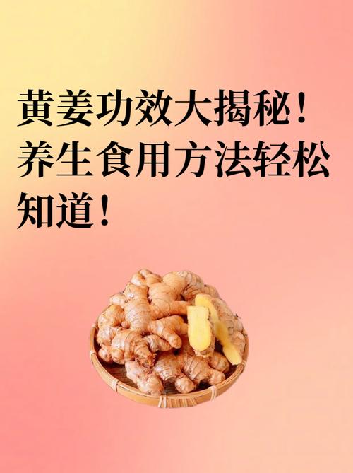 薑黃可治咳嗽嗎?深入解析薑黃的止咳潛力與使用須知 3 薑黃可治咳嗽嗎