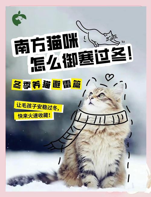 貓幾度會怕冷