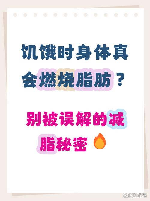 餓肚子可以燃燒脂肪嗎?深入解析飢餓與燃脂的真實關係 1 餓肚子可以燃燒脂肪嗎