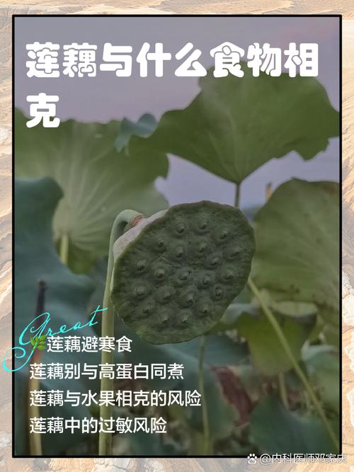 蓮藕不能配什麼