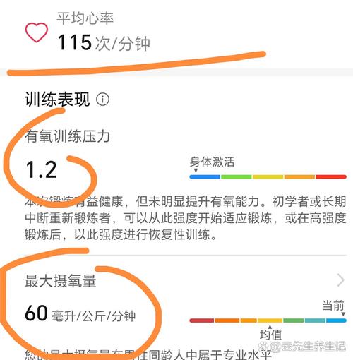 最大攝氧量越高越好嗎?深度解析你的身體極限與健康指標 1 最大攝氧量 越高越好嗎