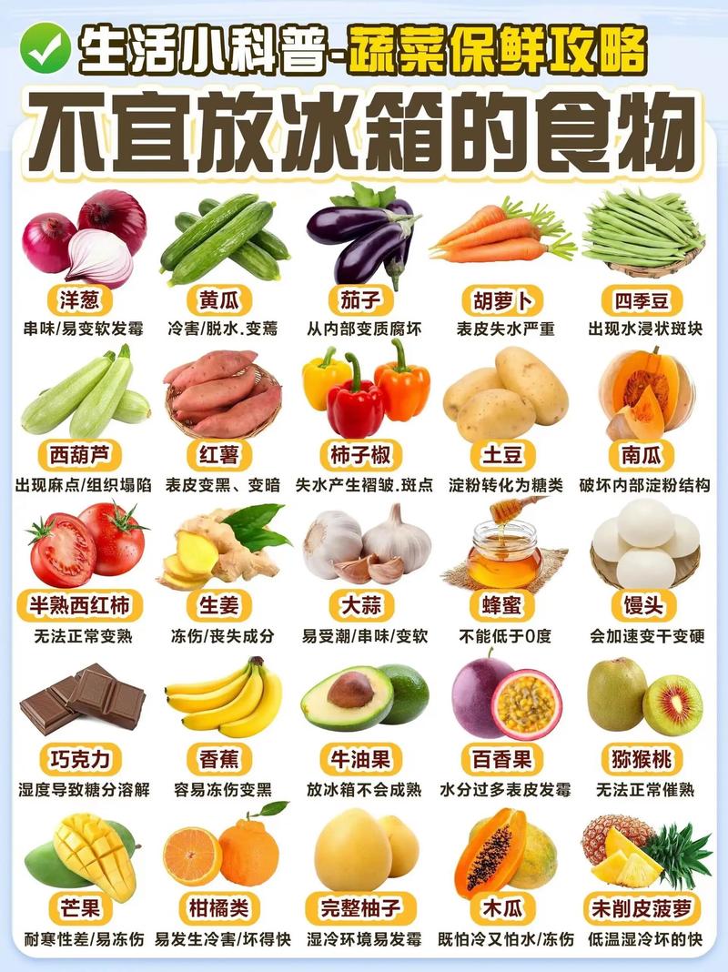 哪些蔬菜不用放冰箱?聰明收納,延長鮮度,告別冰箱空間浪費 3 哪些蔬菜不用放冰箱