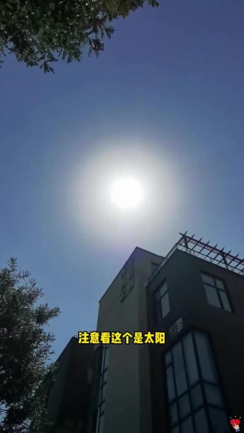 手機拍太陽會壞嗎