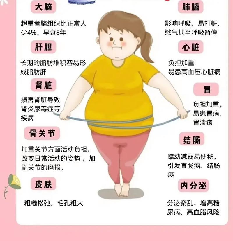 為什麼胖子會餓死