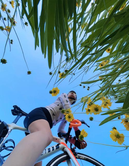 石門水庫可以騎腳踏車嗎