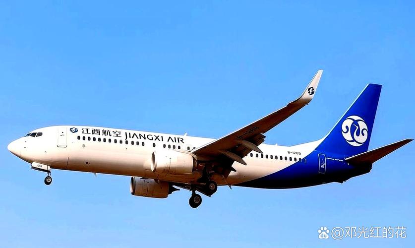 737 800有電視嗎