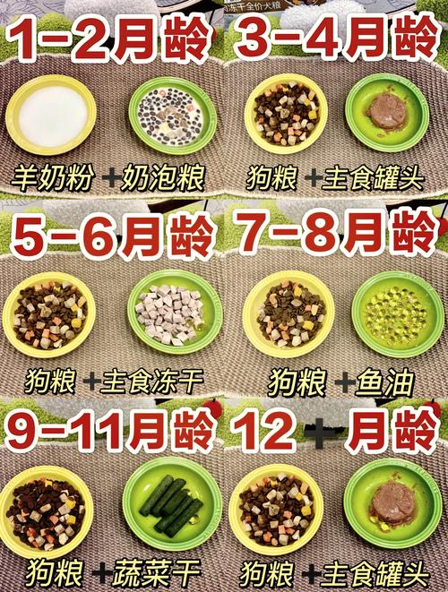 小狗一天可以吃幾顆藍莓