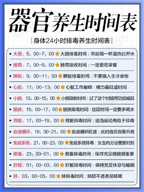 身體幾點開始排毒