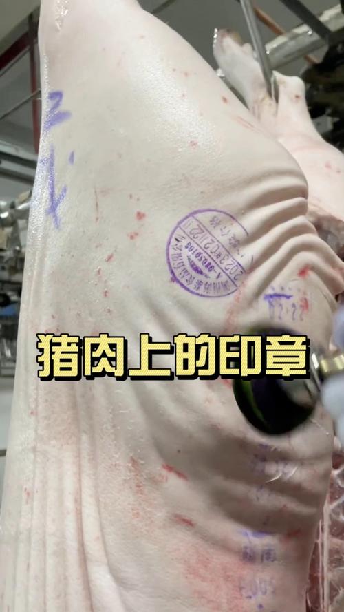 豬肉為什麼要蓋章?解答食安疑慮,從源頭把關的關鍵標記 1 豬肉為什麼要蓋章