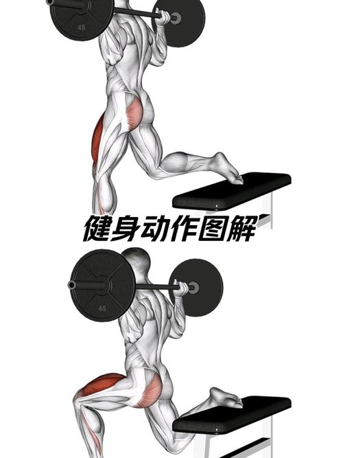 做深蹲哪裡會酸