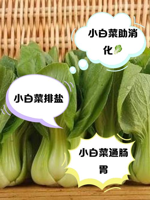 小白菜有什麼功效