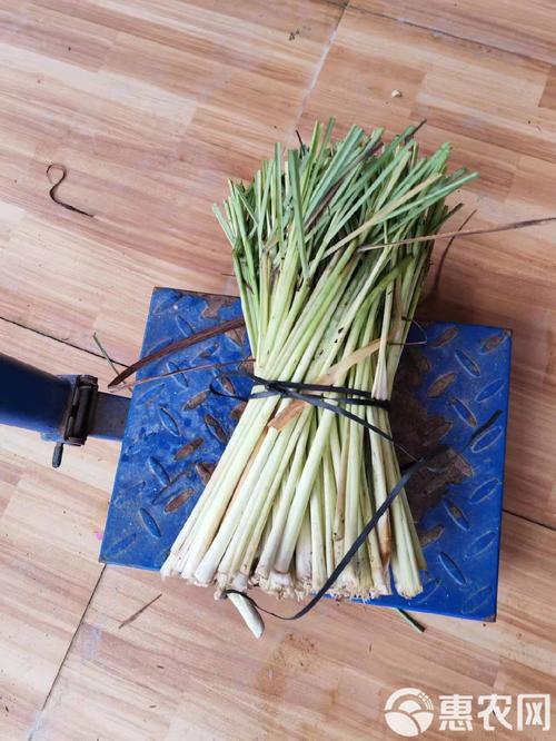 如何保存新鮮香茅