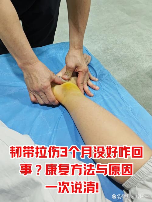 股四頭肌拉傷多久會好?深入解析復健流程與影響恢復的關鍵因素 1 股四頭肌拉傷多久會好