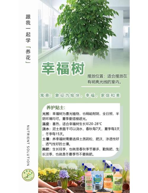 如何愛護樹:從日常點滴做起,讓綠意永續長存 1 如何愛護樹