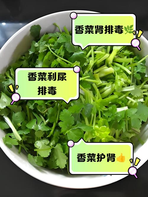 腎不好可以吃香菜嗎