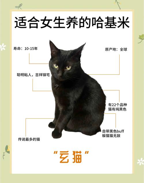 貓有預知能力嗎