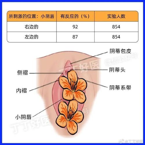理化m是什麼?深入解析理化「m」在科學中的多元意義與應用 1 理化m是什麼