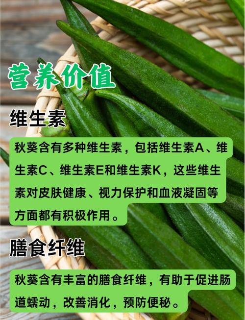 秋葵要烚幾耐?掌握最佳水煮時間,讓美味與營養不流失! 1 秋葵要烚幾耐