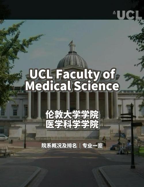 ucla有什麼科系