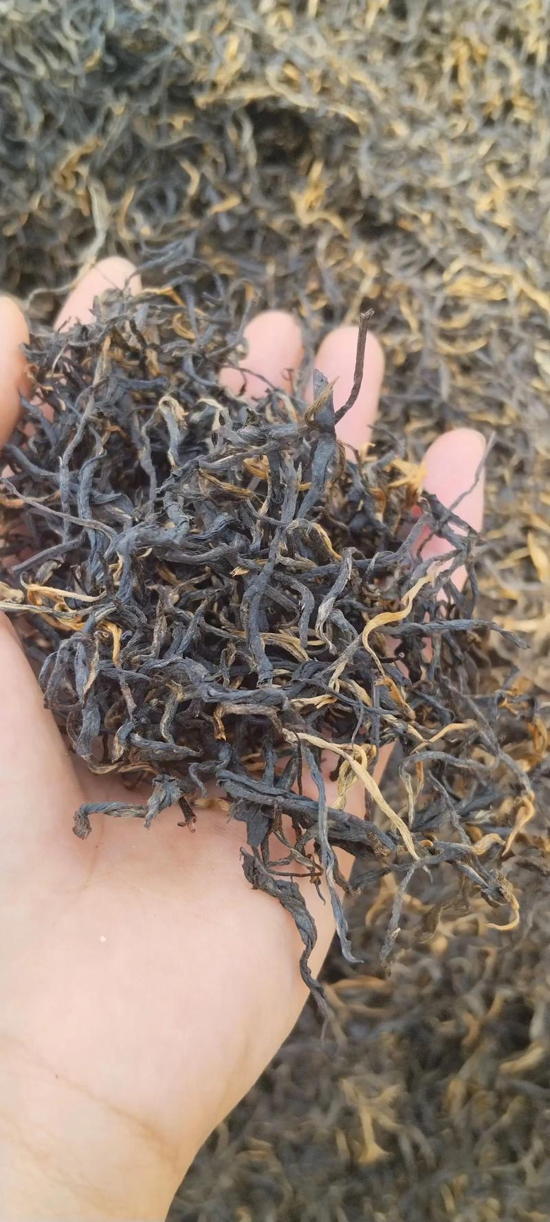 老賴紅茶是什麼茶