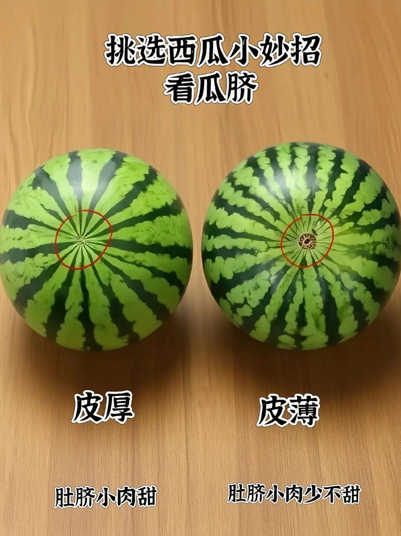華寶西瓜怎麼挑
