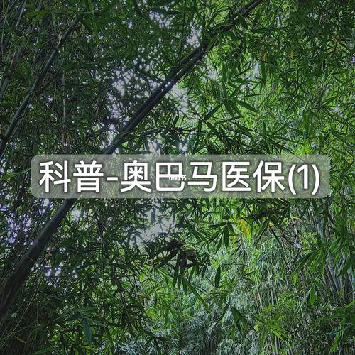 美國為什麼沒健保