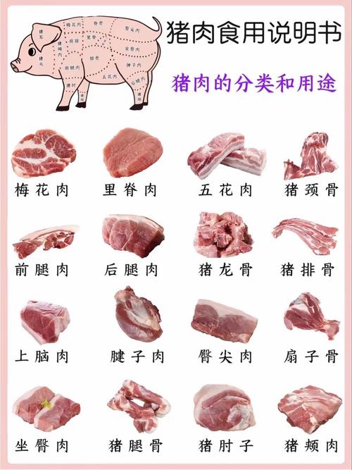 豬肉哪個部位最瘦?聰明挑選低脂豬肉部位,健康飲食無負擔! 3 豬肉哪個部位最瘦