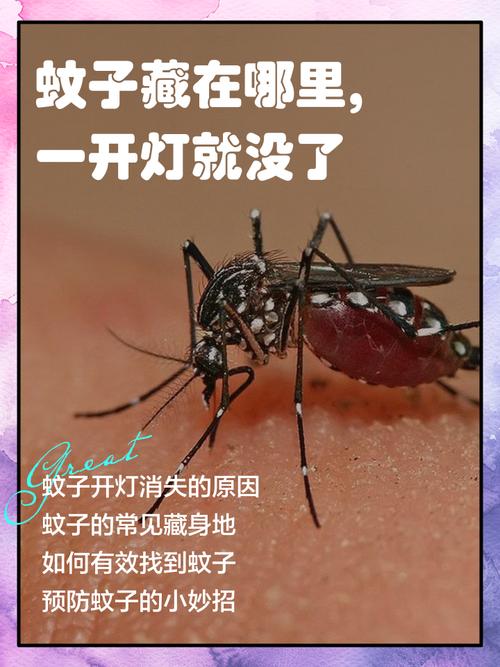 為什麼蚊子開燈就不見了