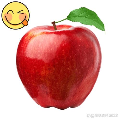 蘋果的頭叫什麼