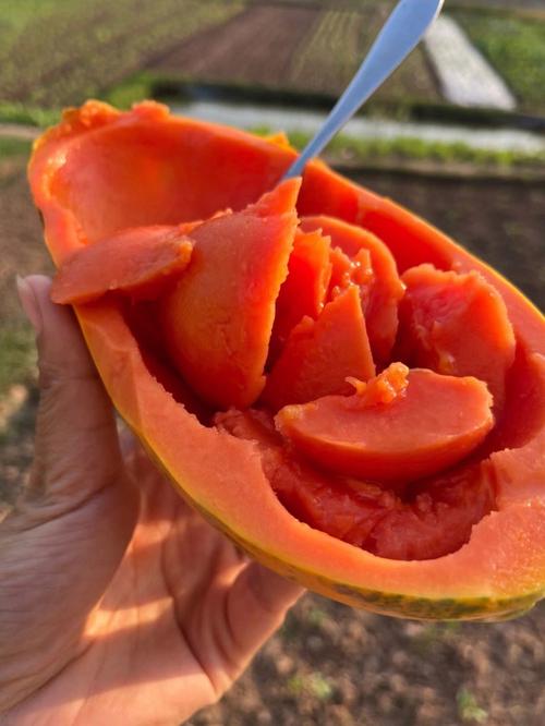 全聯有賣木瓜嗎