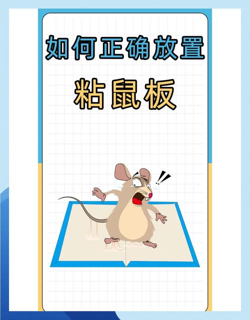 小老鼠怎麼按