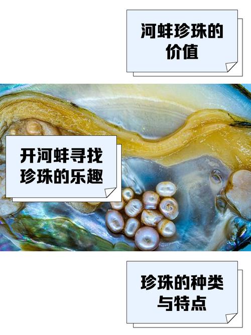 珍珠是葷的嗎?從科學與文化角度解析,原來我們都誤會了! 1 珍珠是葷的嗎