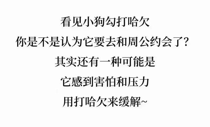 狗狗為什麼有壓力