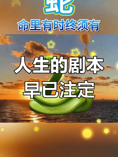 命運安排什麼 我們就享受什麼