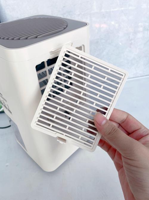 室內有植物可以開除濕機嗎