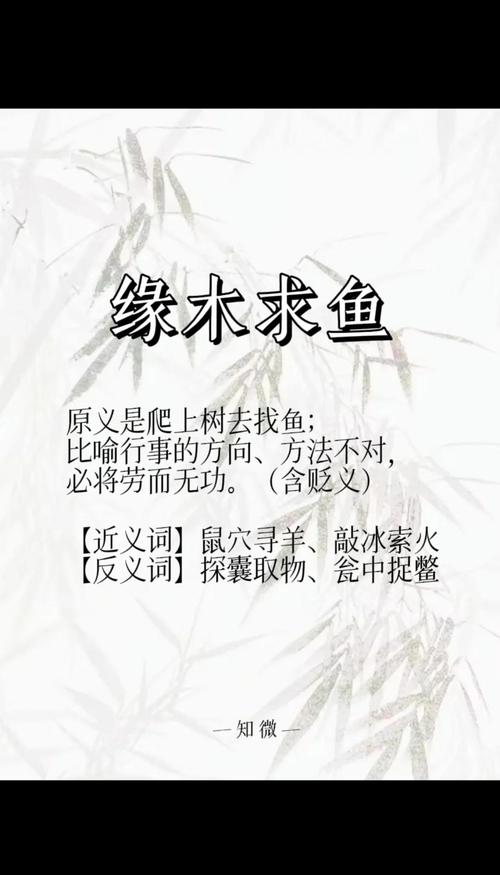 魚的成語