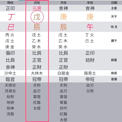 如何看命盤:從零開始的紫微斗數入門指南 1 如何看命盤