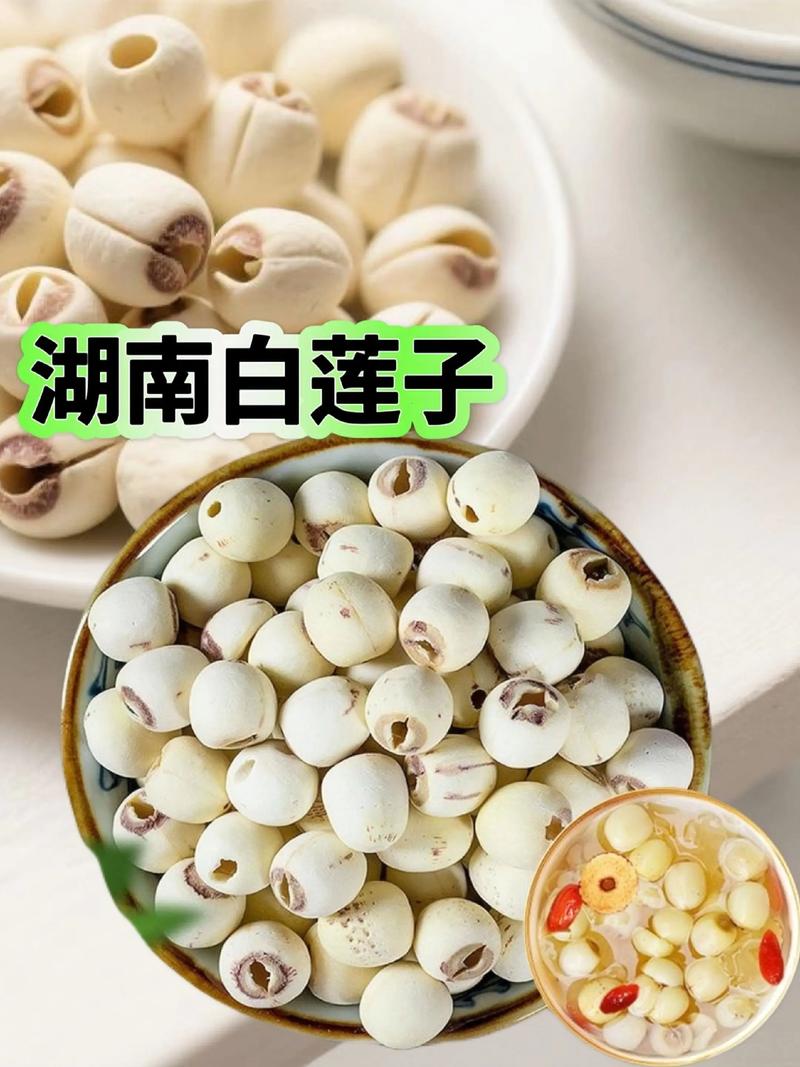 蓮子有進口的嗎