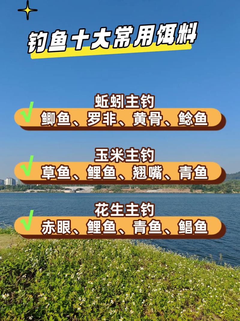 淡水吳郭魚吃什麼餌