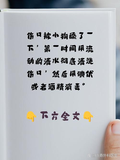 被狗舔到傷口怎麼辦