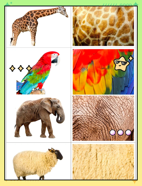 LINE的生物辨識是什麼