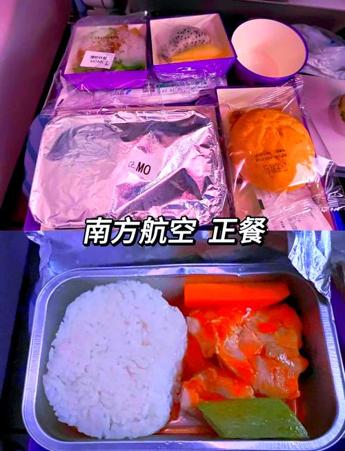 易斯達航空可以吃外食嗎